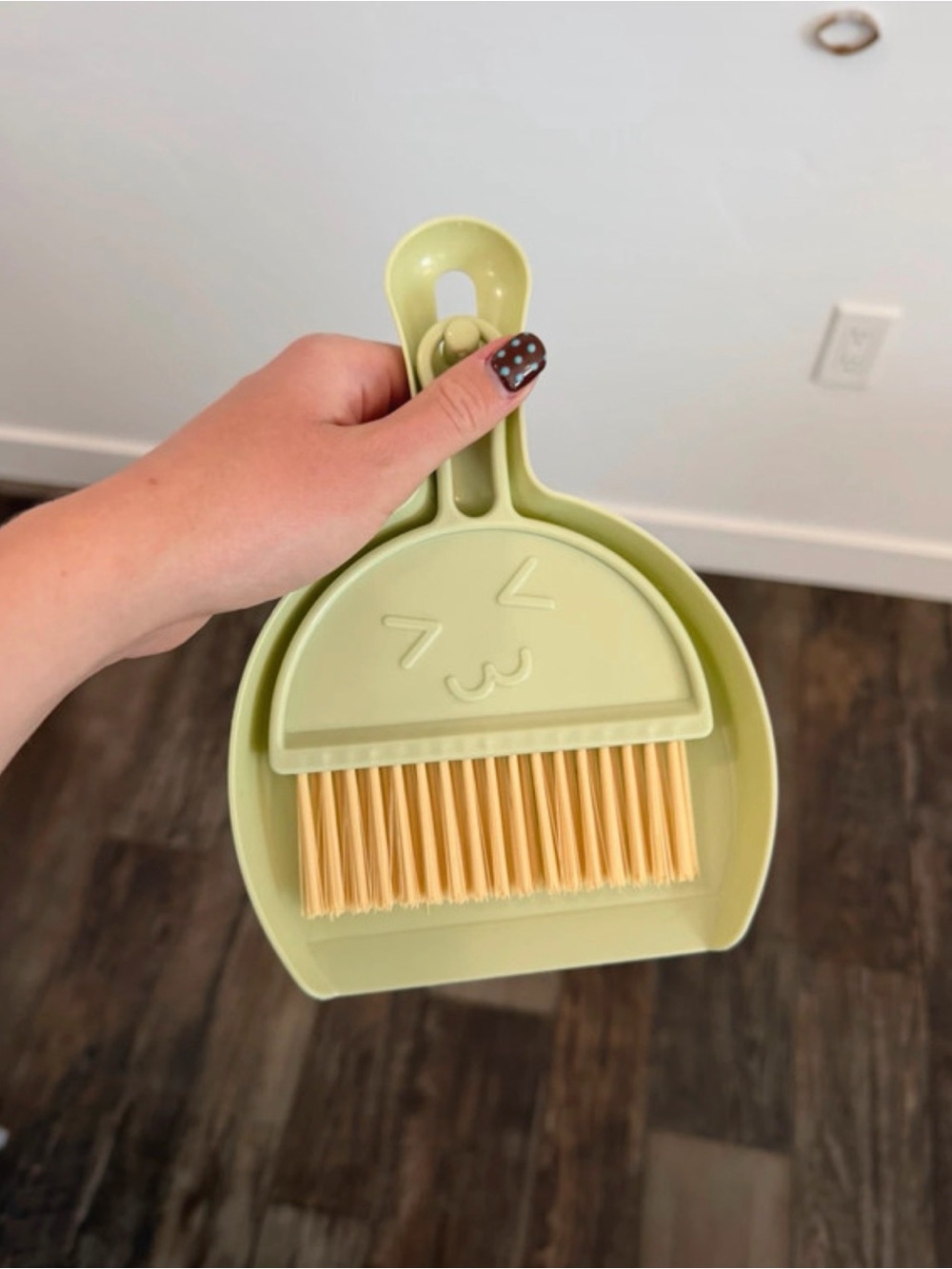 mini dustpan with brush